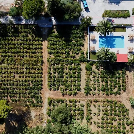Zissis & Pool 5min Drive To Villa Kato Yerakarion